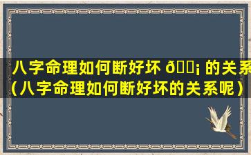 八字命理如何断好坏 🐡 的关系（八字命理如何断好坏的关系呢）